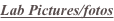 shapeimage_2_link_5